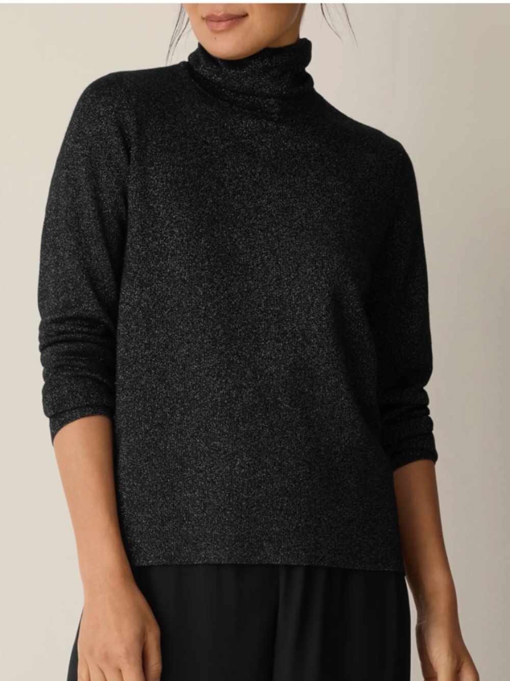 NWT Eileen Fisher Wool Blend Long Sleeve Metallic Sweater Turtleneck Top M Black